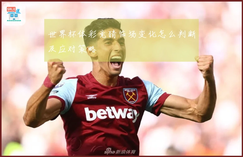 世界杯体彩竞猜临场变化怎么判断及应对策略