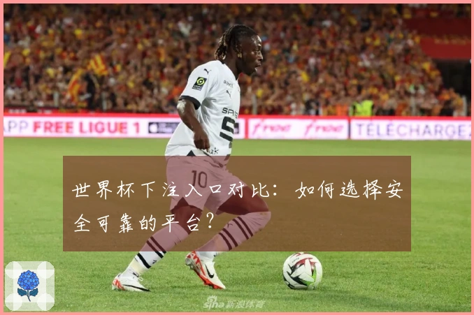 世界杯下注入口对比：如何选择安全可靠的平台？